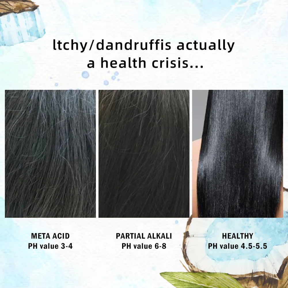 coconut milk shampoo for hair